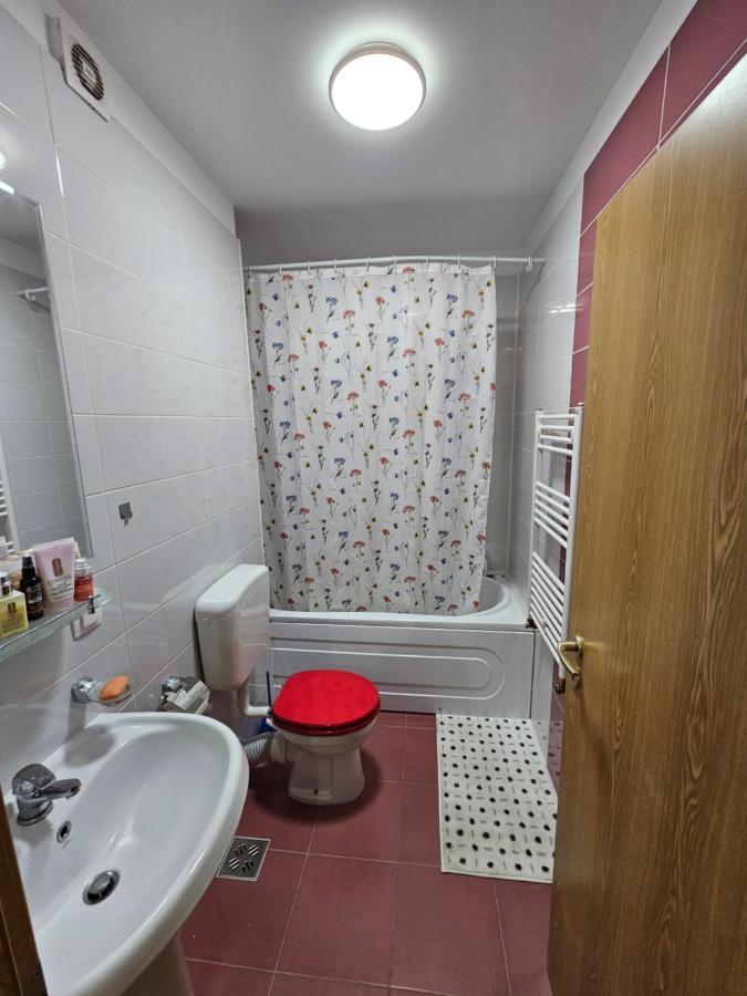 Elena's Coresi Apartment Brasov