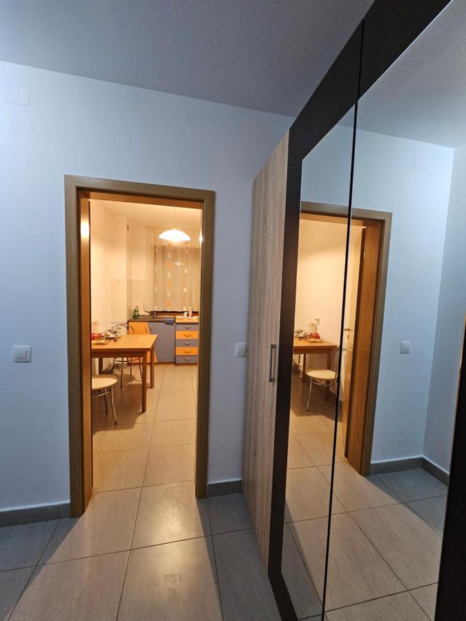 Apartment Elena's Coresi