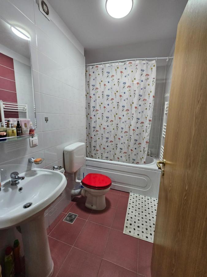 Elena's Coresi Apartment