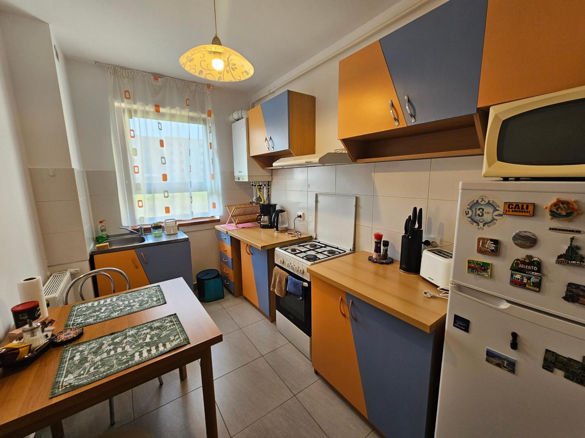 Apartment Elena's Coresi